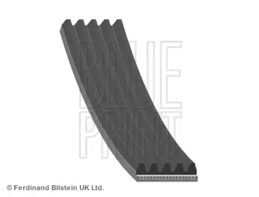 BLUE PRINT ремінь П-клиновий 5PK1000 BMW E39/E38 FIAT MAZDA PEUGEOT TOYOTA